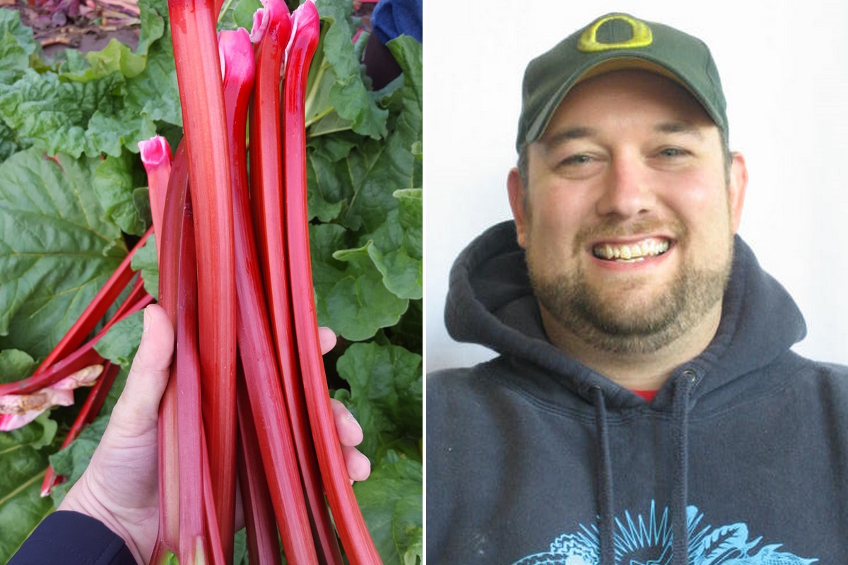 Strong volume on organic rhubarb this season from the Pacific Northwest - Vimarsana News