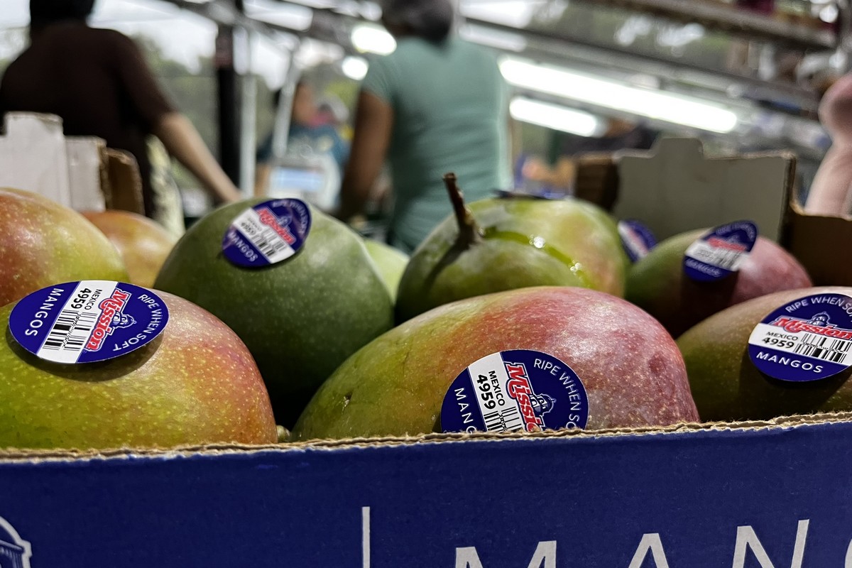 Showcasing diversified sourcing for avocados and mangos - Vimarsana News