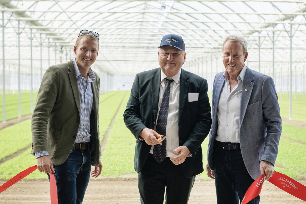11-hectare greenhouse project officially opened in New Zealand - Vimarsana News