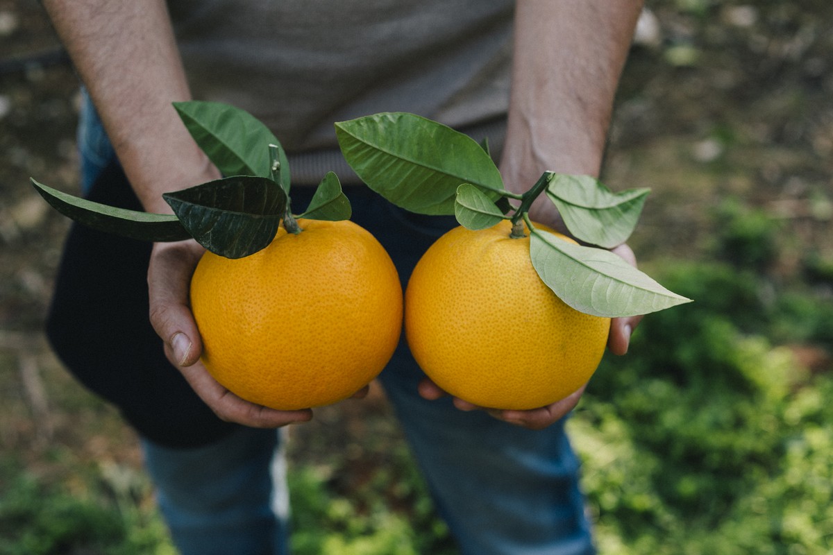 The Alizza Fruit™ season 3 wins award and production expands to South Africa - Vimarsana News