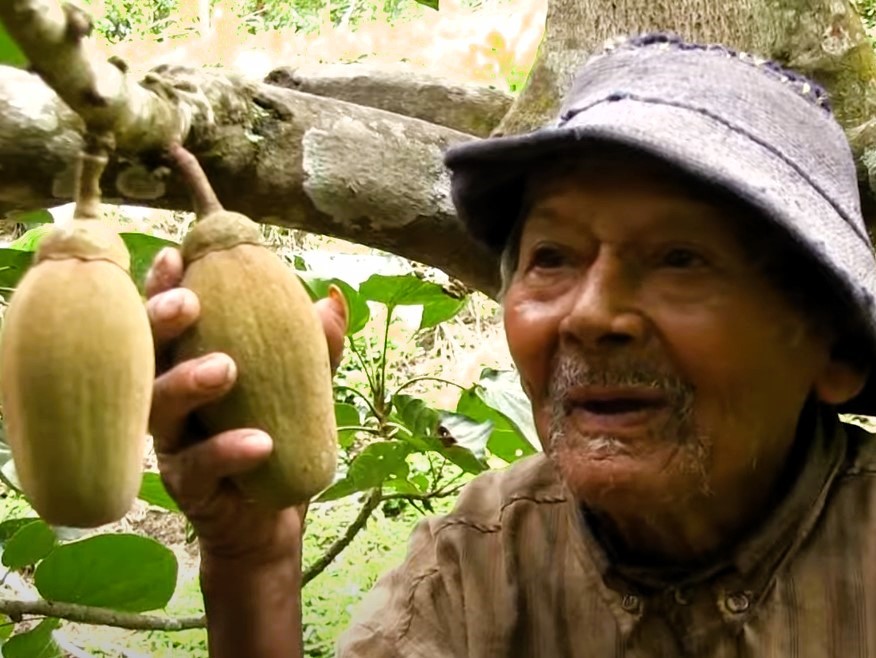 Peruvian farmer claims world's oldest man record at 124 years - Vimarsana News