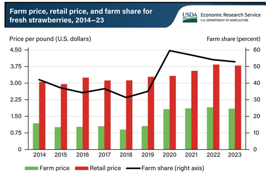 U.S. farmers received about half of what consumers paid for fresh strawberries from 2020–23 - Vimarsana News