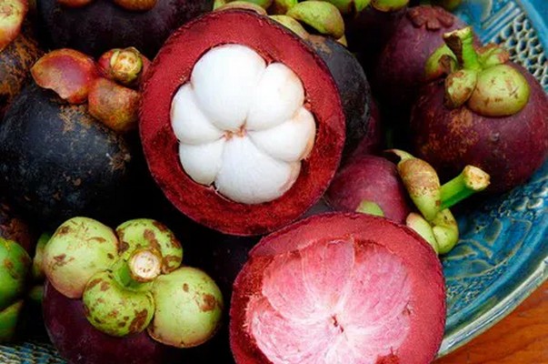 Indonesia aims to expand mangosteen export to Australia - Vimarsana News