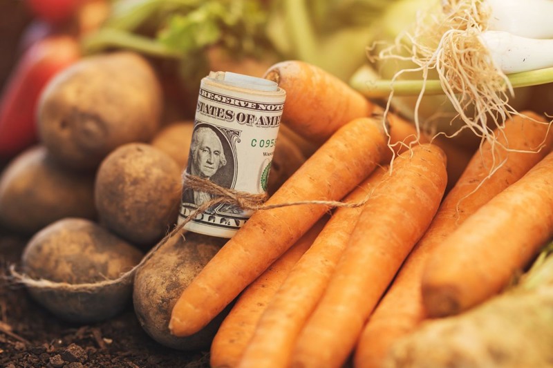 PACA updates from USDA - Vimarsana News