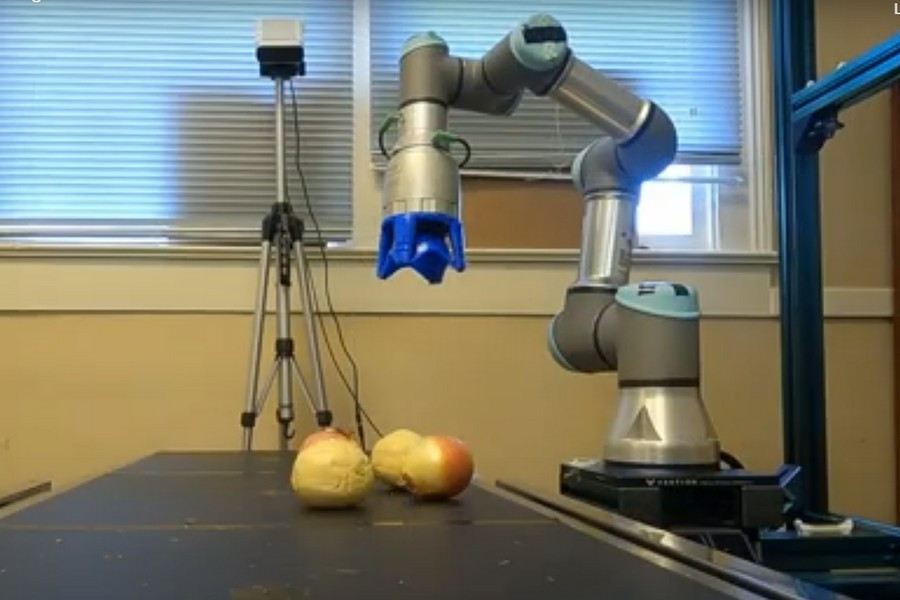 Using robotics to help sort onions on Georgia farms - Vimarsana News