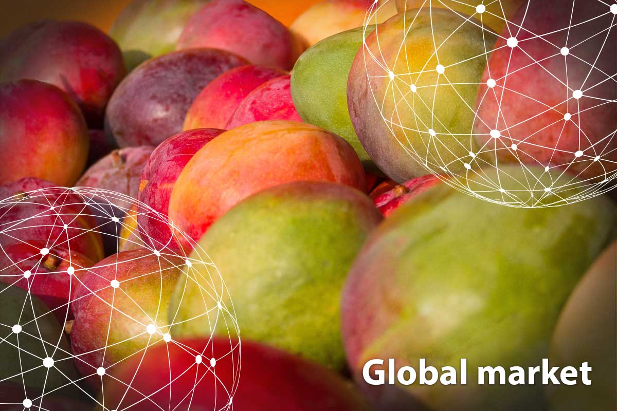 GLOBAL MARKET OVERVIEW MANGOES - Vimarsana News