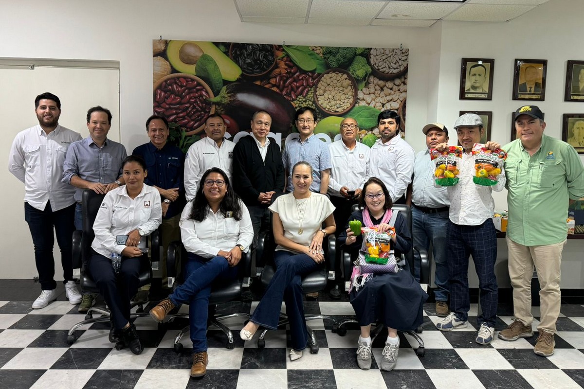 Japan's Ministry of Agriculture visits Mexican farms to ratify results - Vimarsana News