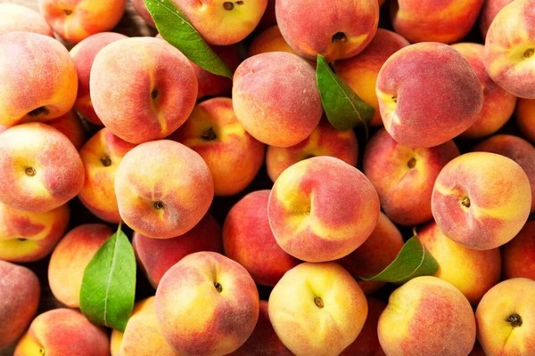Peach prices experience significant downturn – what does the future hold? - Vimarsana News