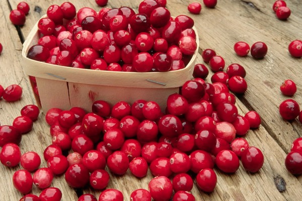 Cranberry supplements enhance athletic performance in Canada - Vimarsana News