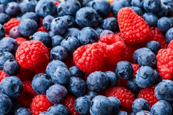 EastFruit reports on frost impact on berry crops in Poland, Serbia, Ukraine - Vimarsana News