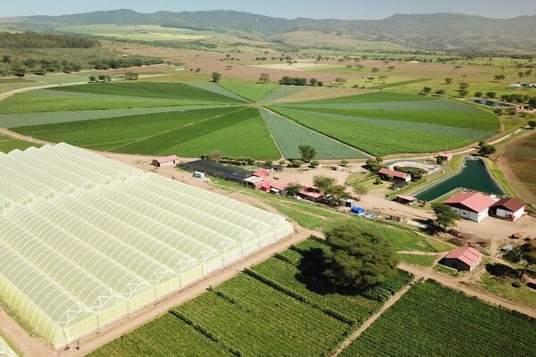 AgDevCo in equity investment deal with Agris for growth of fresh-food production and distribution in East Africa - Vimarsana News