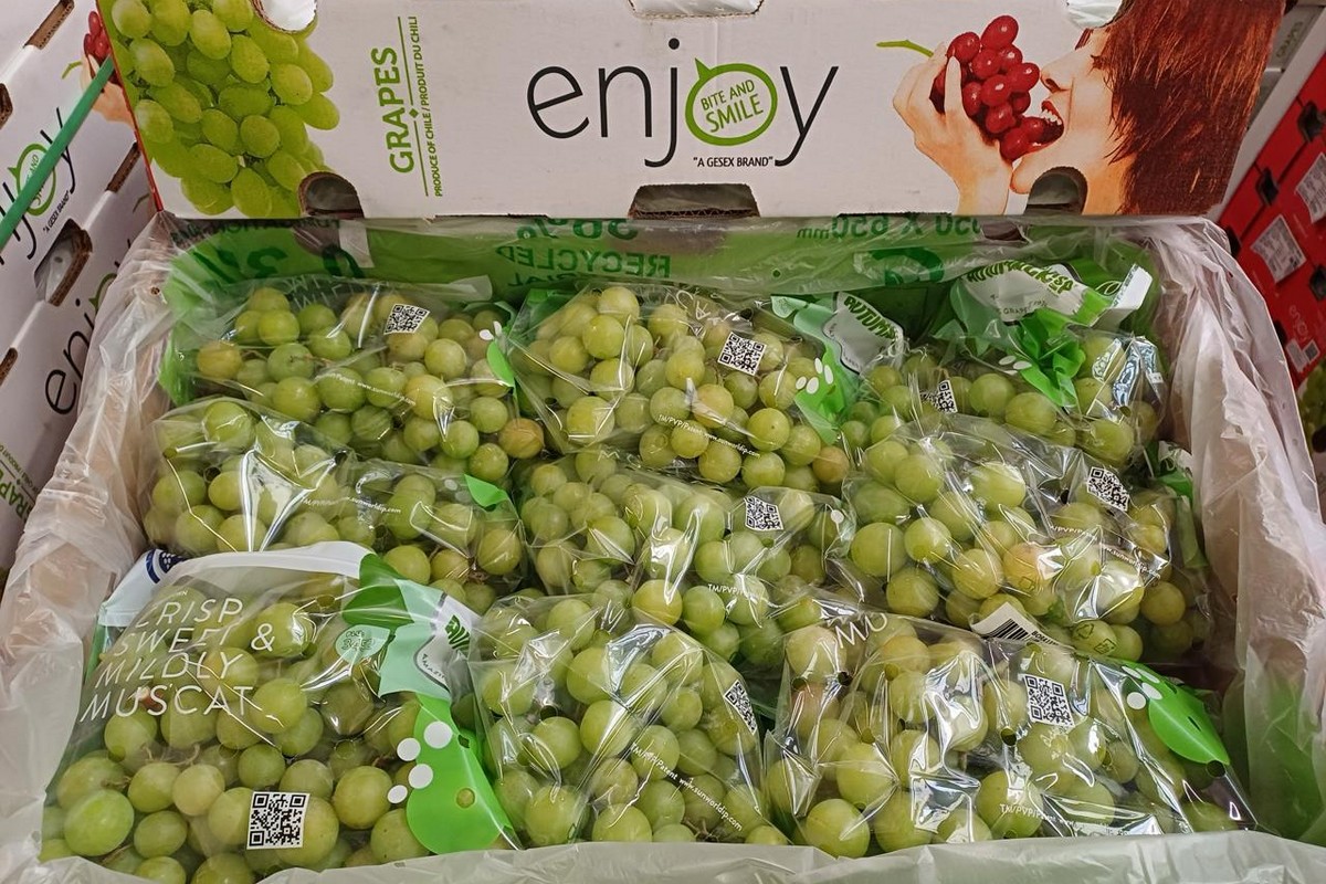 "The fruit that's arriving in Europe and the UK is of exceptional quality and condition" - Vimarsana News