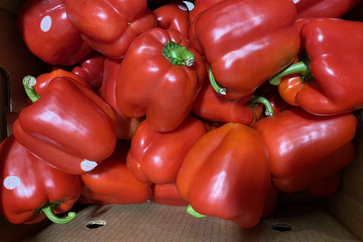 Softer demand slows movement on bell peppers - Vimarsana News