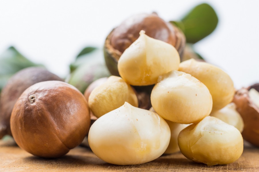 Labeling debate over Hawaii's macadamia nuts - Vimarsana News