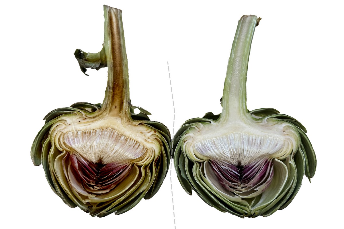 Nature-based shelf-life solution for key Italian vegetable ingredients - Vimarsana News