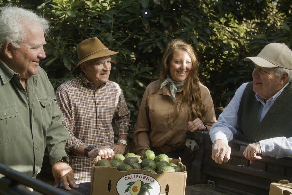 About 25 percent of this season's California avocado crop harvested - Vimarsana News