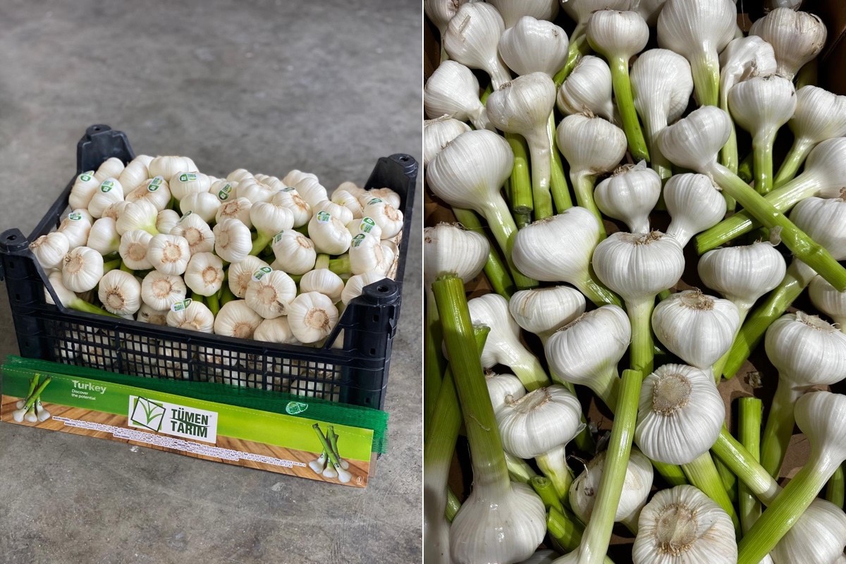 "This investment will enable us to increase garlic production and harvesting in more areas" - Vimarsana News