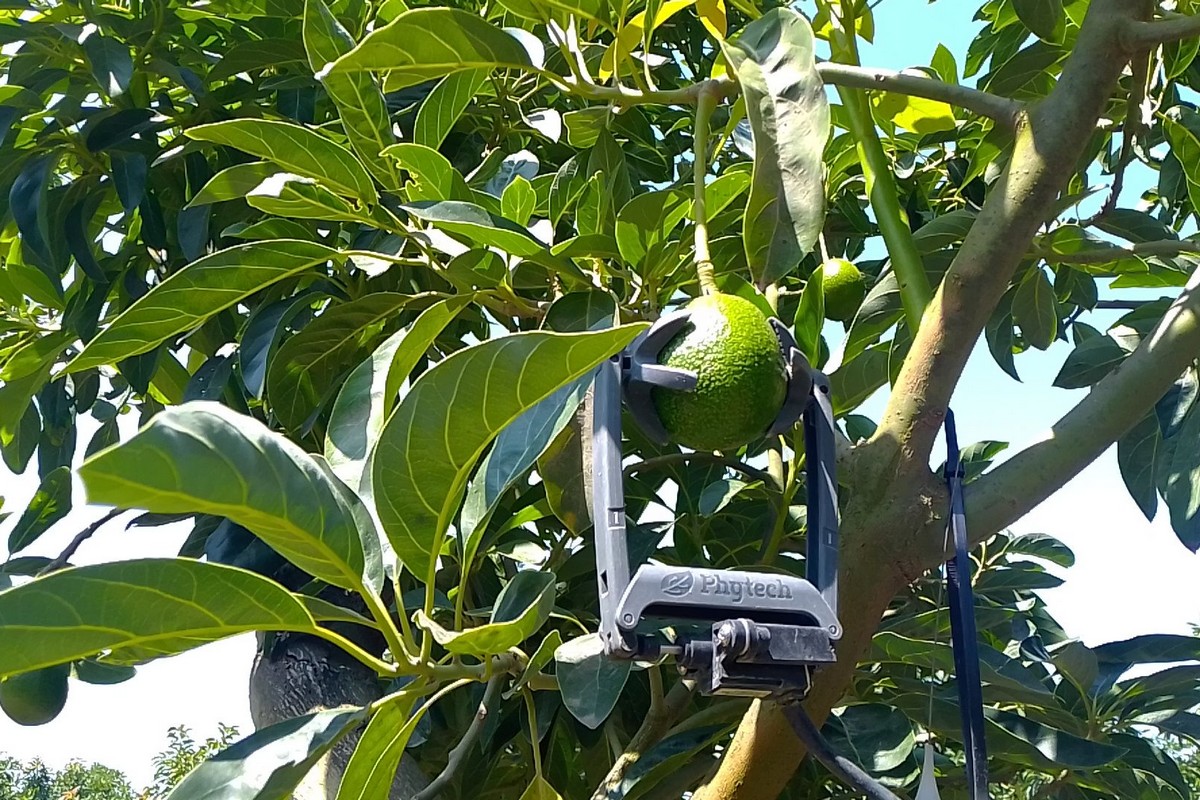 "We cover more than 100,000 hectares worldwide with our sensors" - Vimarsana News