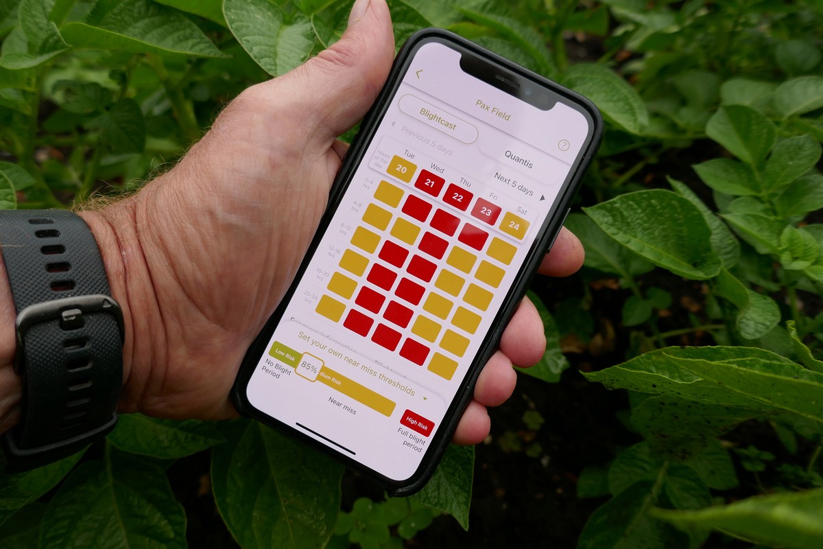 Potato agronomy forecasts now available in myField App - Vimarsana News