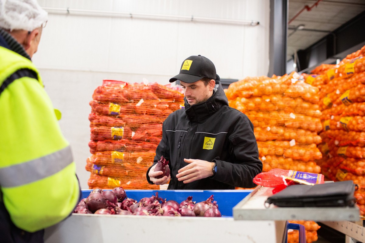 Hardness and skin firmness in onions crucial for retail, especially during shortages - Vimarsana News