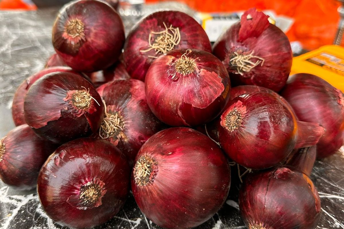 Egyptian onions replace Moroccan ones in West Africa - Vimarsana News