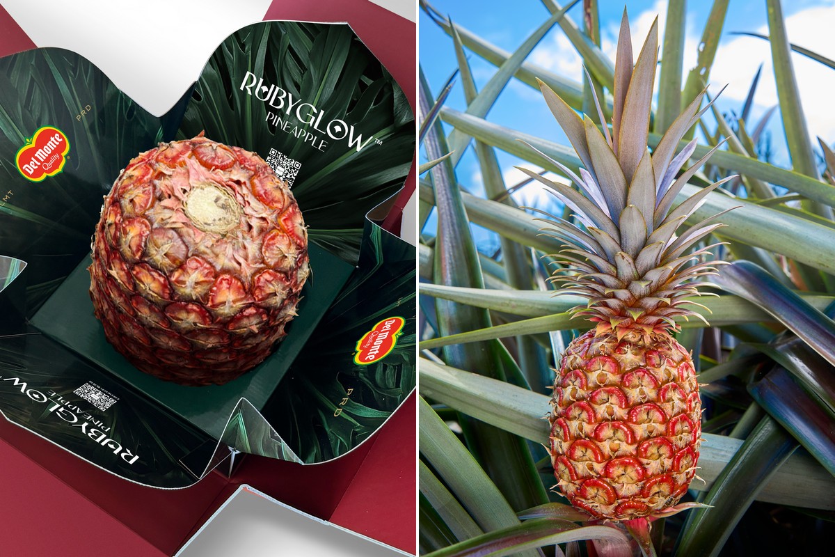 Rubyglow pineapple coming to U.S. market - Vimarsana News