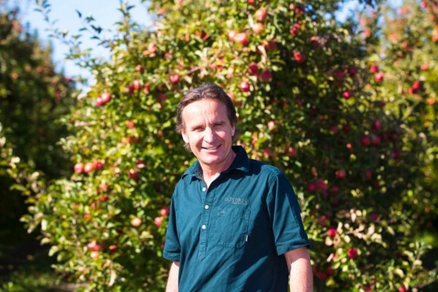 Bostock Group sells conventional apple orchards to Scales Corporation - Vimarsana News