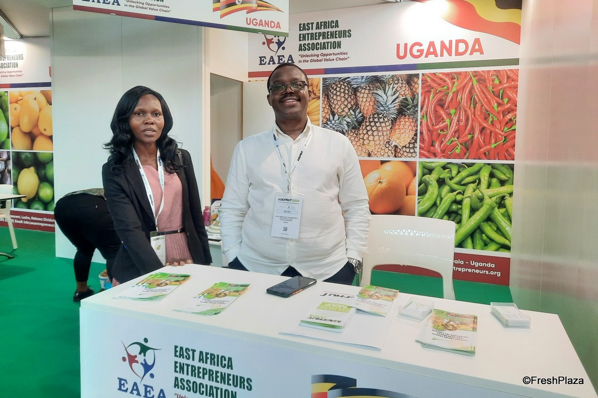 Ugandan exporter sees big interest at Macfrut - Vimarsana News
