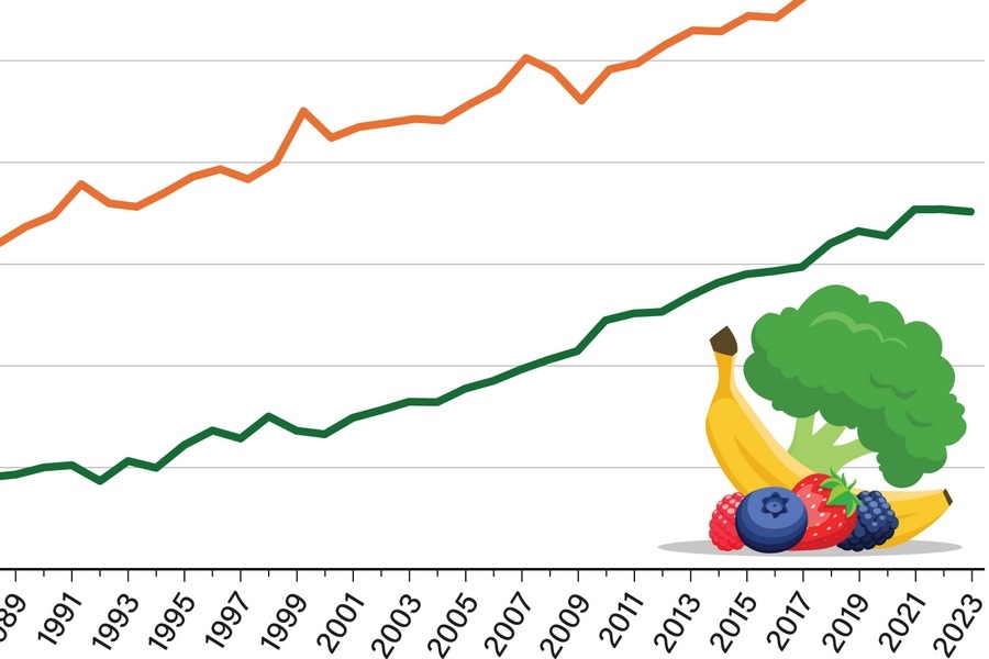 U.S. fresh produce imports supply 59% of fruit and 35% of vegetable availability