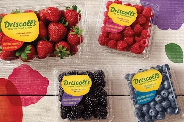 Berry brand recognized as second retail food and beverage brand in U.S.