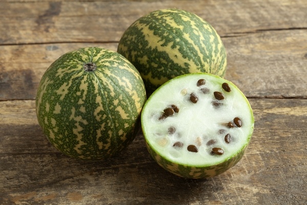 Citroenmeloen wint terrein