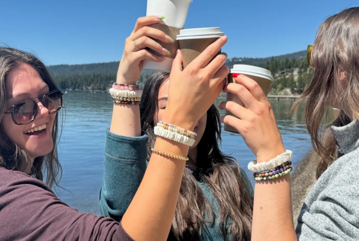 Haarbandjes van ananas