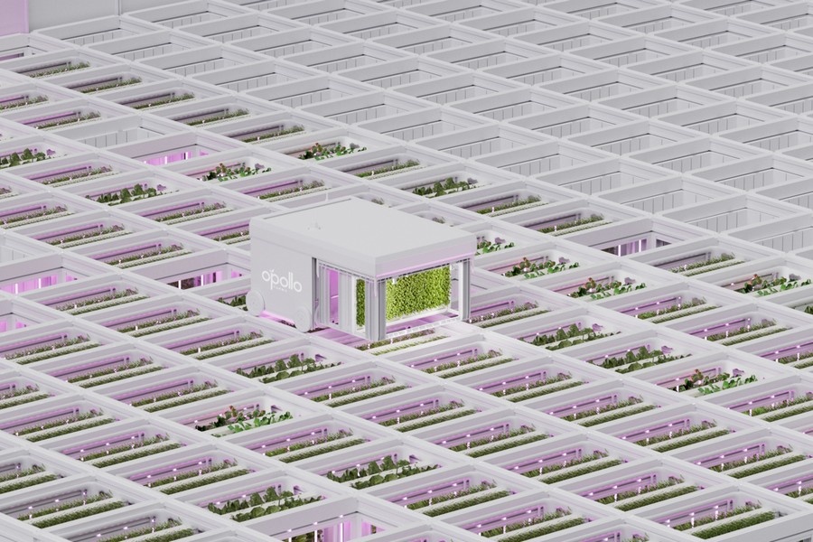 Gerobotiseerde vertical farm oogst groenten in 15 dagen