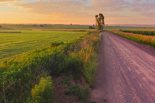 Zuid-Afrikaanse fruitexport stijgt door goede oogst