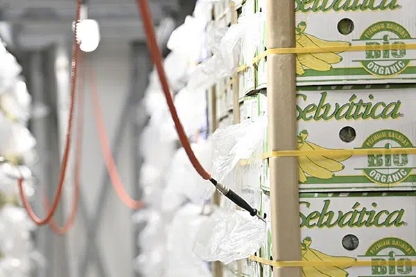 Frankrijk voegt 30.000 ton rijpcapaciteit toe