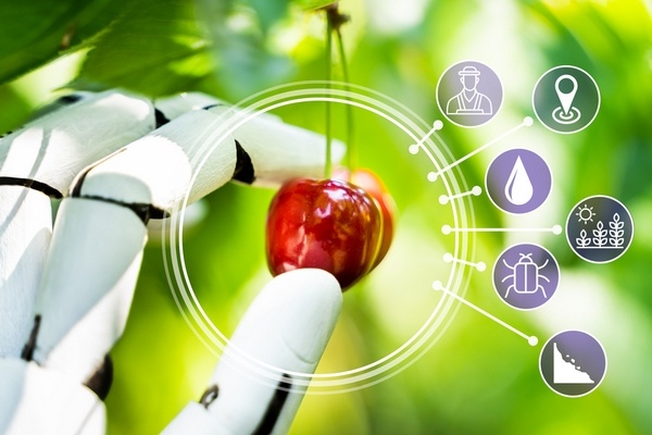 China onthult fruitoogstrobot met gebarenbesturing