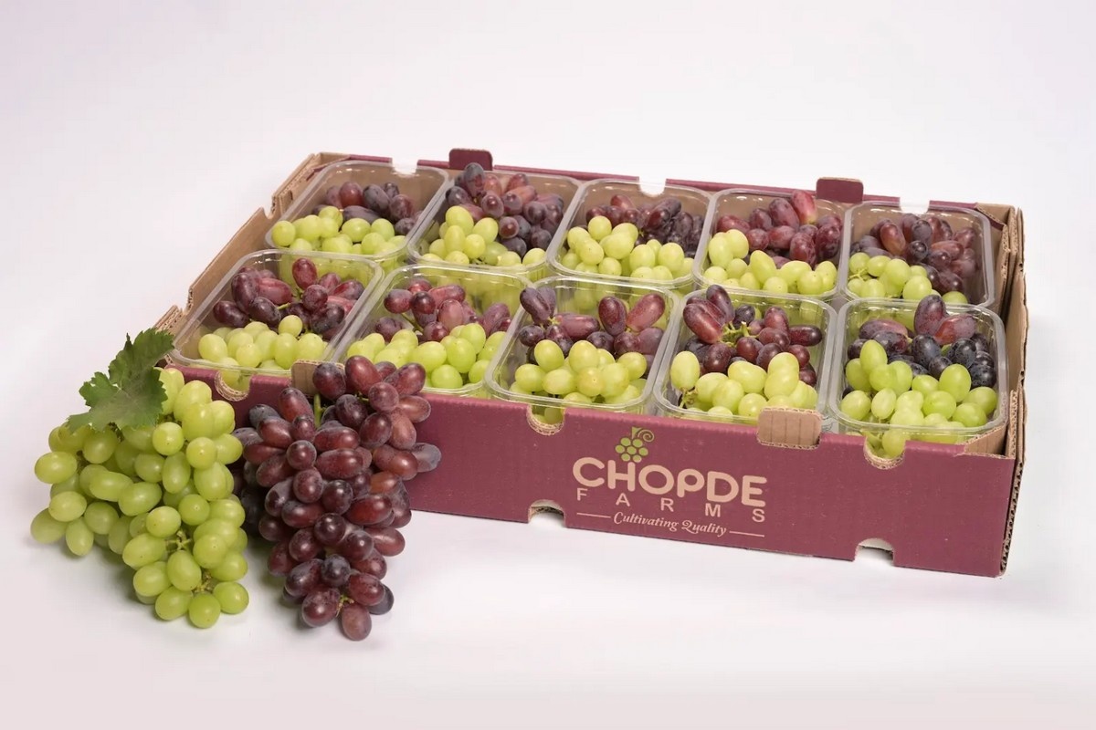 Druivenseizoen India succesvol