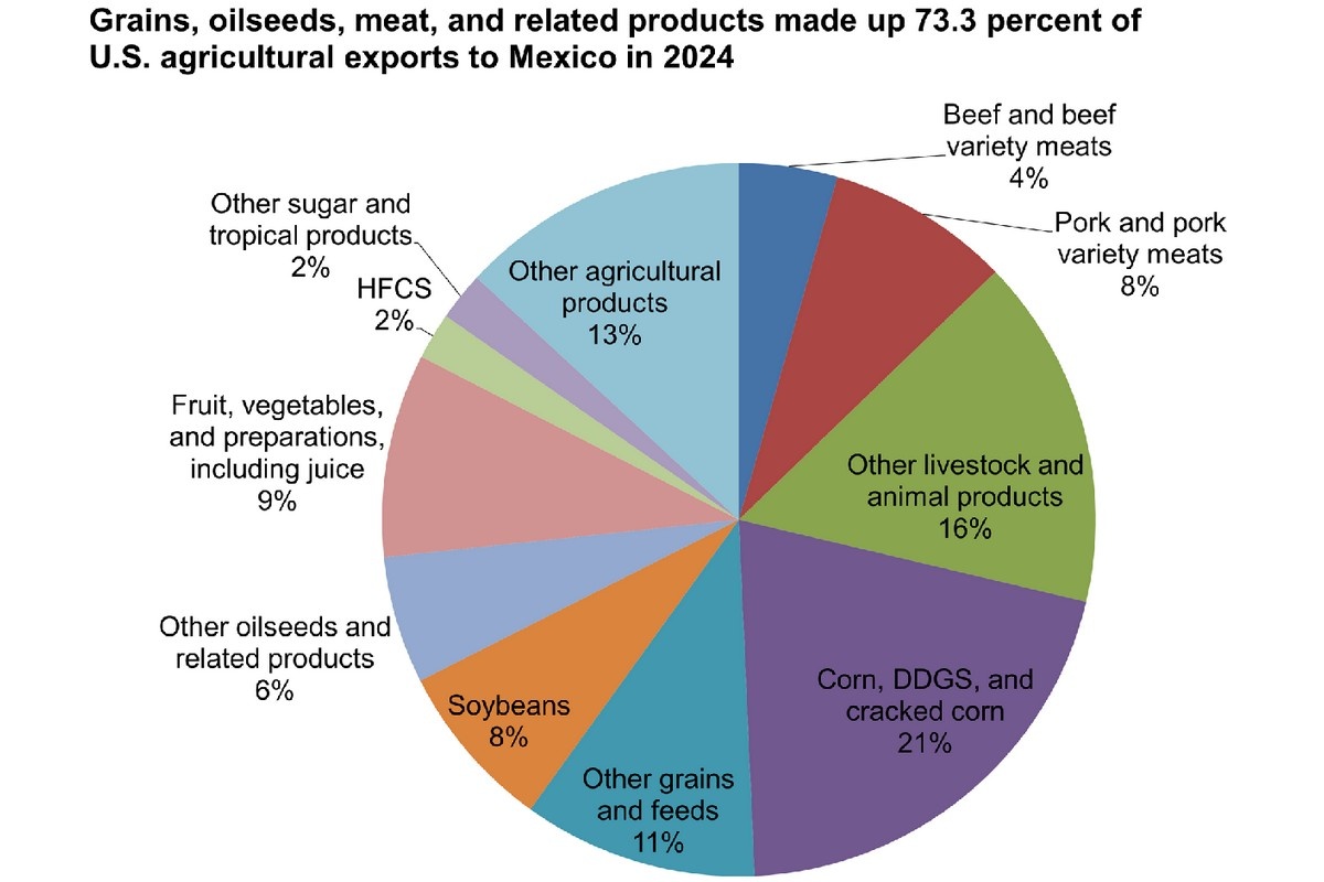 Fruit, vegetables 34% of U.S. ag imports from Mexico in 2024