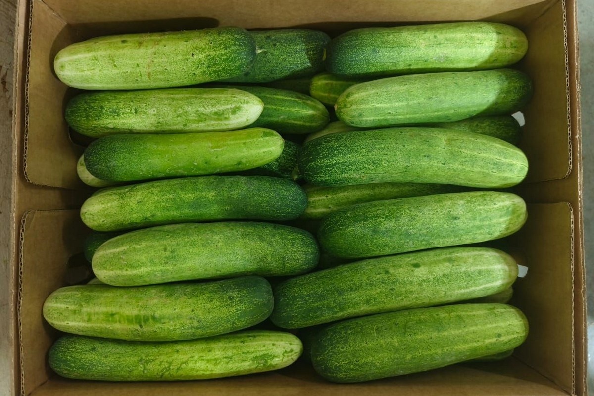"We see tremendous potential in vegetable exports to Hong Kong"