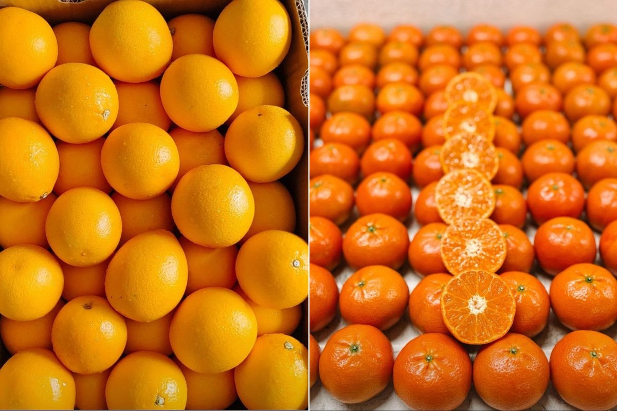 Golfconflict veroorzaakt logistieke verstoringen bij AGF-import VAE