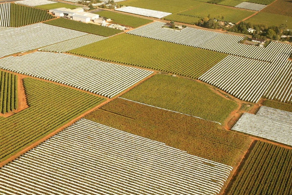 Australia adds regional data to horticulture handbook