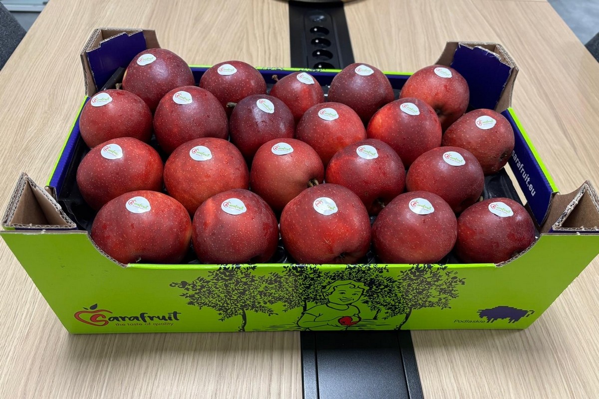 Poolse telers houden appels in koelcellen in afwachting van betere prijzen