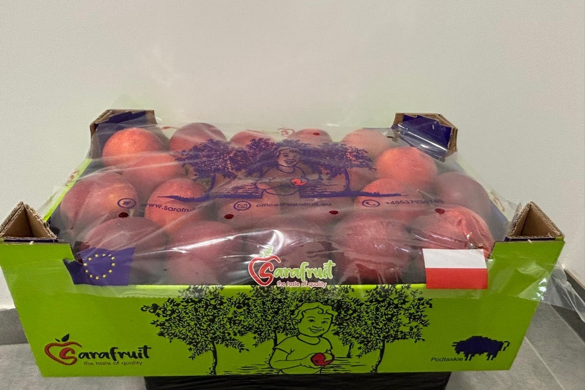 "Sterke concurrentie op Egyptische appelmarkt"