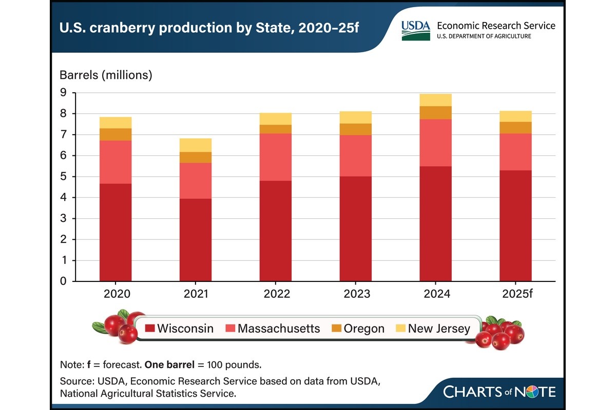 Amerikaanse cranberry-oogst 2025 komt uit boven vijfjaarsgemiddelde ondanks daling