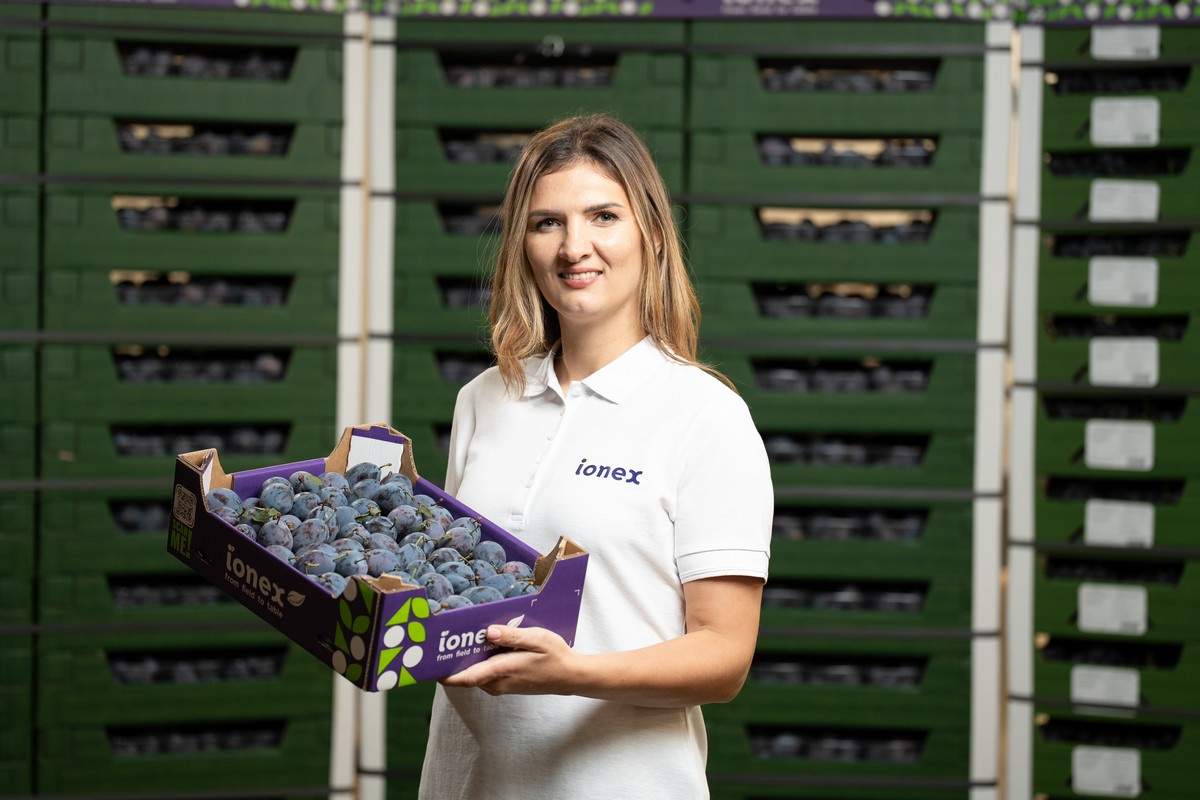 Moldavische druiven steeds vaker rechtstreeks naar supermarkten in Nederland en België