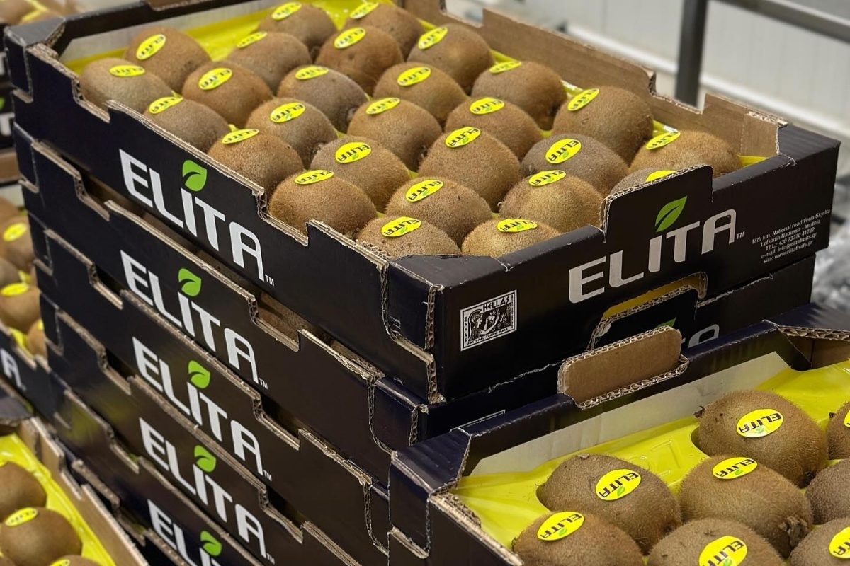 VS schrapt invoerheffing: export Griekse kiwi’s krijgt impuls