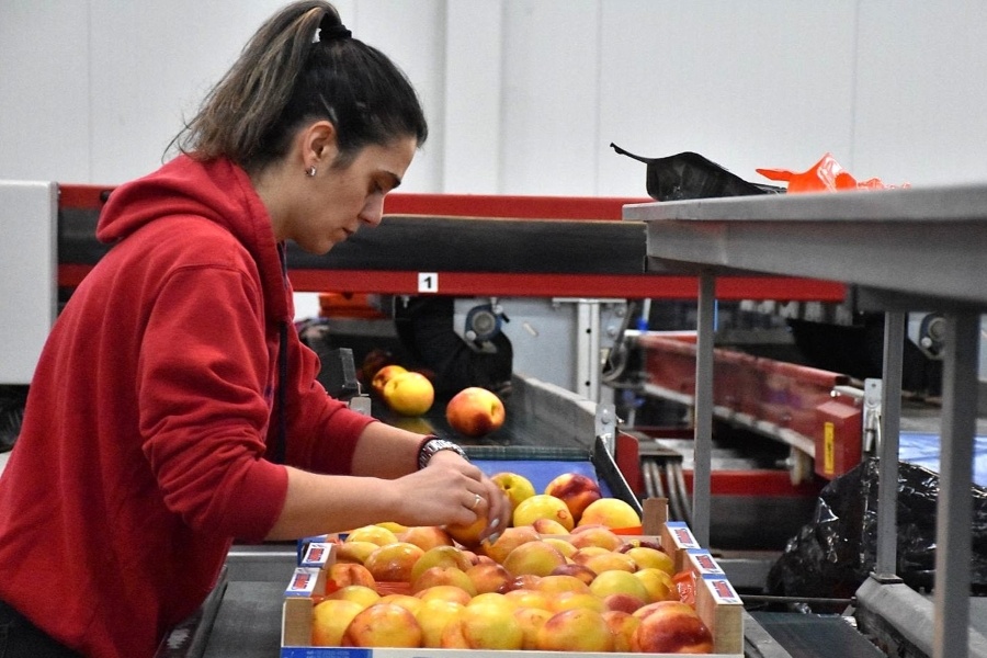 Nieuwe digitale arbeidskaart in Griekenland geeft problemen bij bedrijven én werknemers