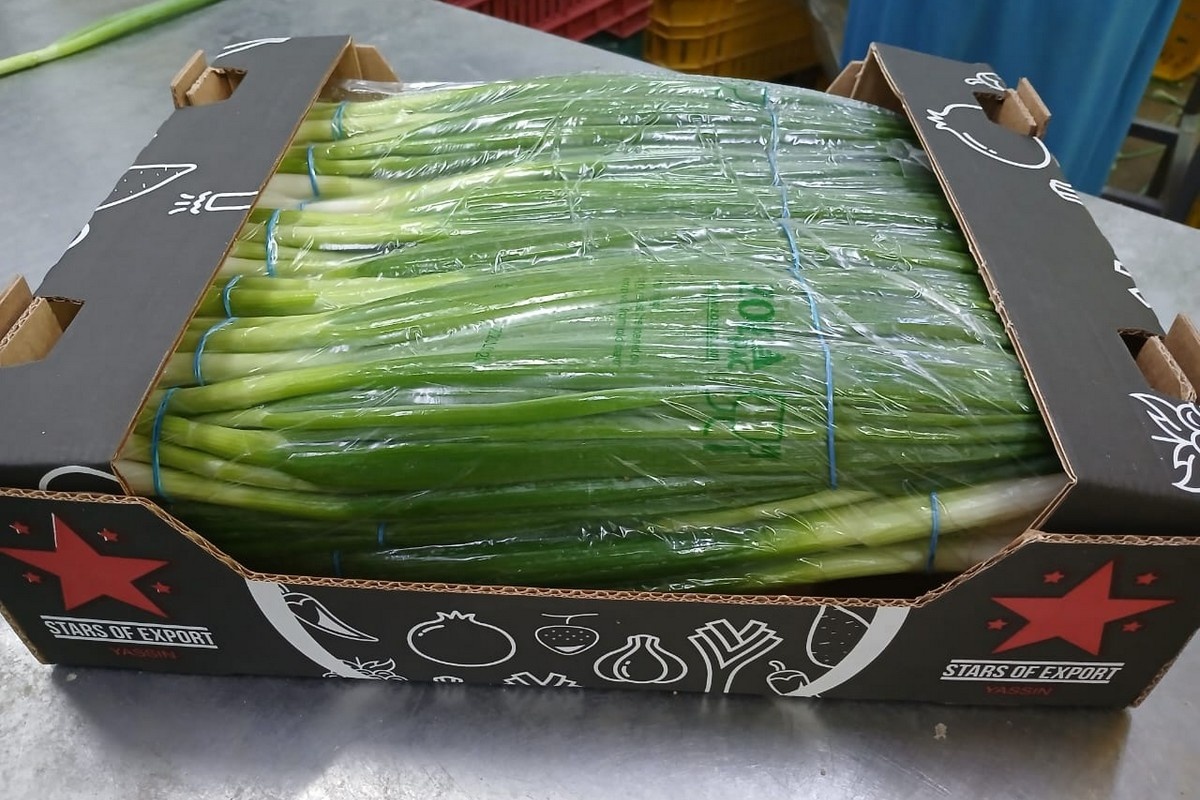 Overaanbod Egyptische bosuien zet marktprijzen onder druk, herstel verwacht in december