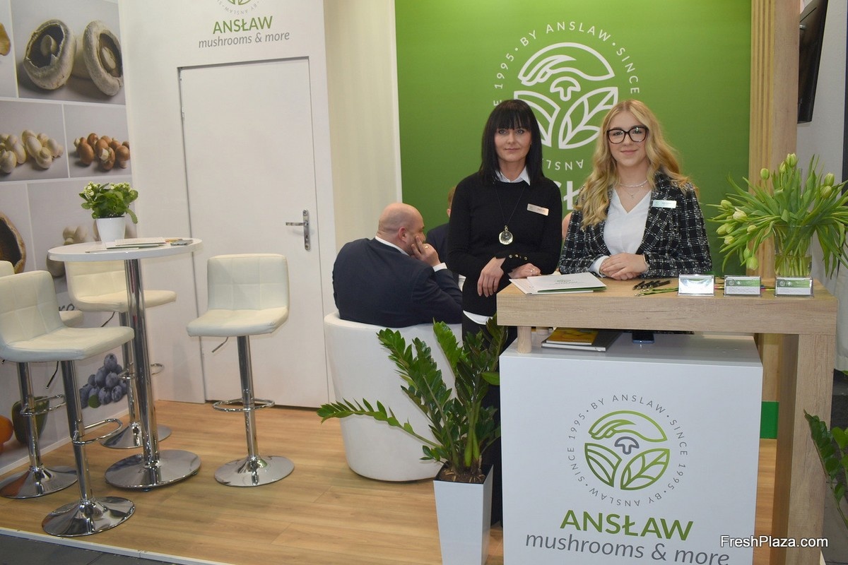 Poolse champignonteelt groeit door naar 365.000 ton