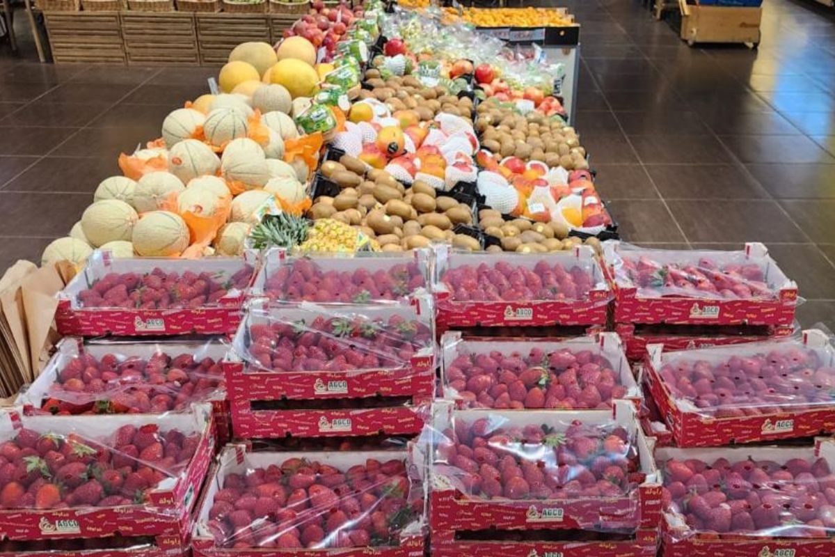 Golfmarkt wordt steeds concurrerender, maar Marokko behoudt premiumpositie in zachtfruit